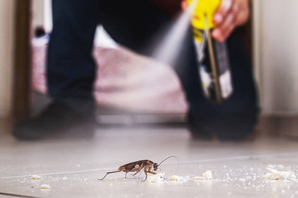 Best Flea Control Services  in USA